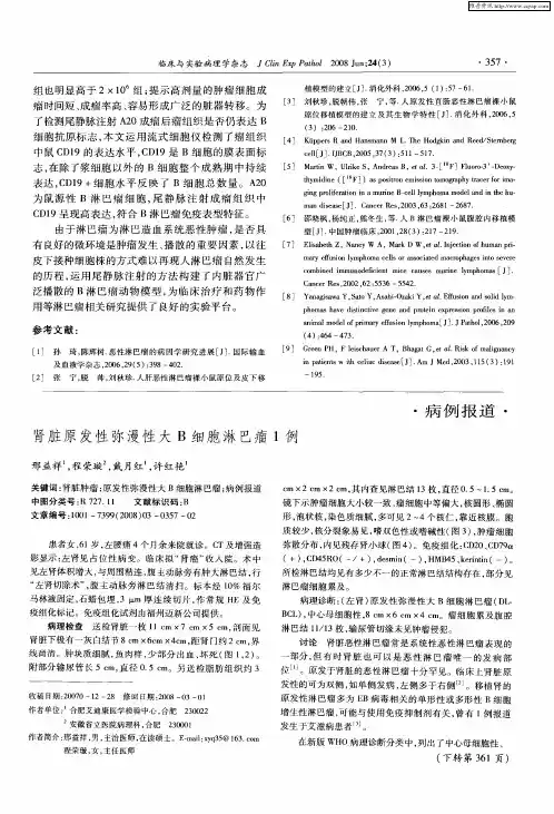 肾脏原发性弥漫性大B细胞淋巴瘤1例