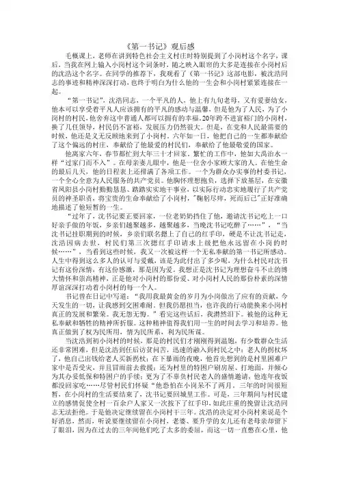 《第一书记》观后感 2