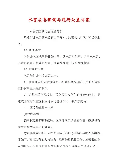 水害应急预案与现场处置方案