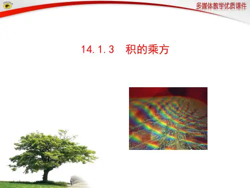 人教版14.1.3__积的乘方