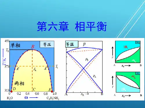 【物理化学】第6章_相平衡