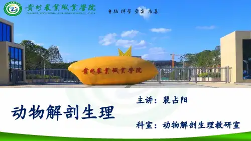 动物解剖生理学-12消化系统(三)