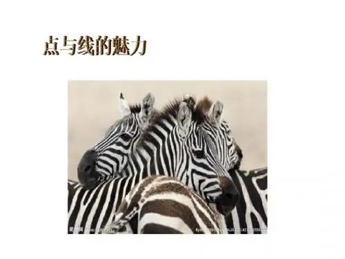 岭南版初中美术 3 点与线的魅力 课件 (4)