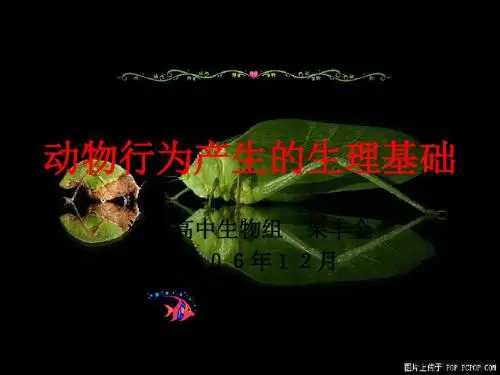 动物行为产生的生理基础