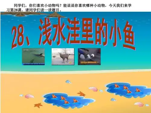 人教版二年级上语文第28课《浅水尘洼的小鱼》课件