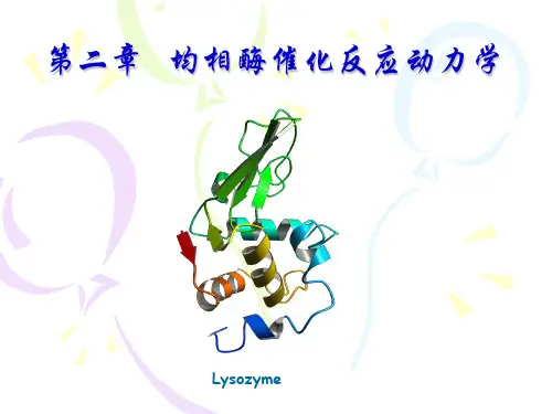 第二章-均相酶催化反应动力学