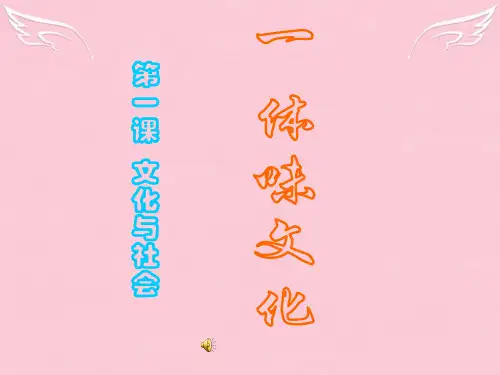 高二政治思想政治《文化生活》第一单元第一课《体味文化》课件新人教版必修3