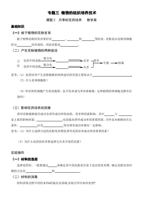 高中生物选修一月季的花药培养教学案