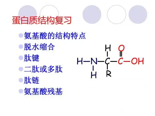 蛋白质计算专题