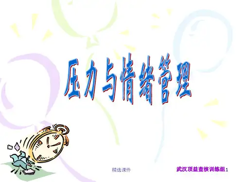 《压力与情绪管理》PPT课件