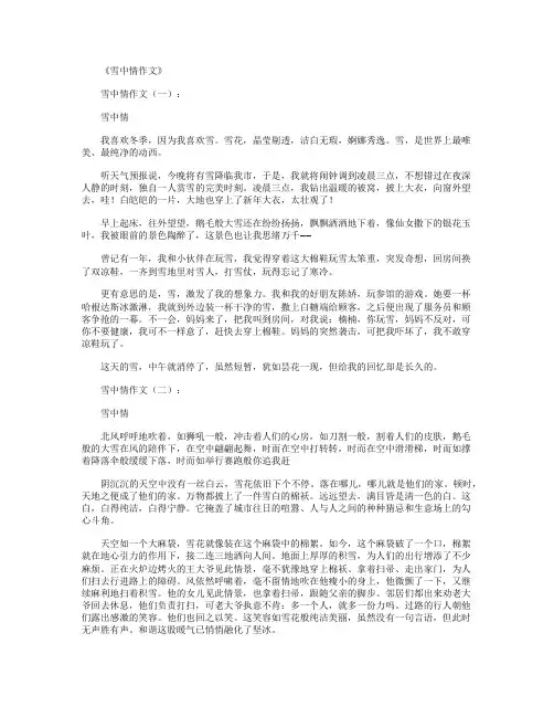 雪中情作文12篇