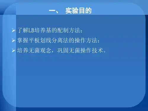 实验2 LB培养基制备及大肠杆菌的接种