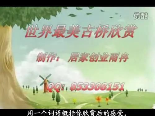《桥之美》1