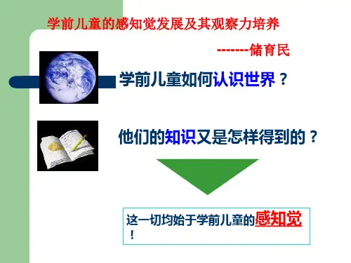 三章二节学前儿童的感知觉发展及其观察力培养
