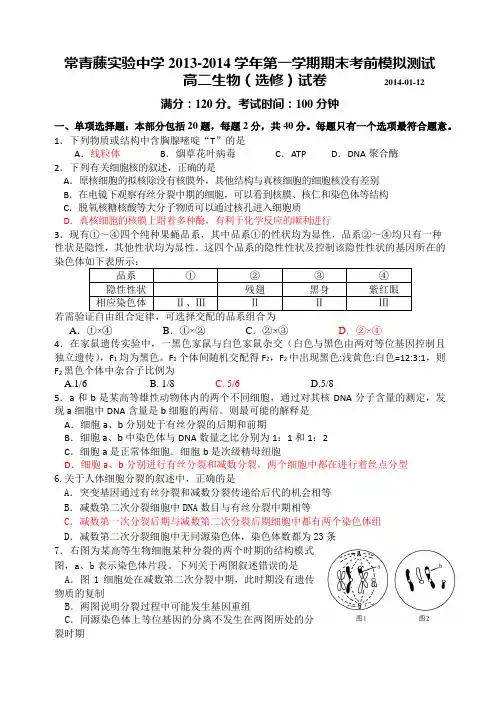 高中生物必修二期末考前模拟测试