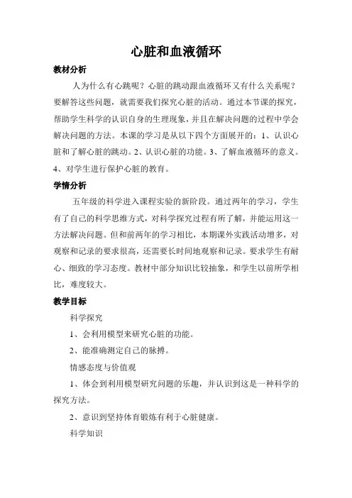 心脏和血液循环 2
