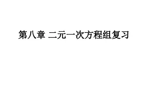 第八章 二元一次方程组复习(培优训练)