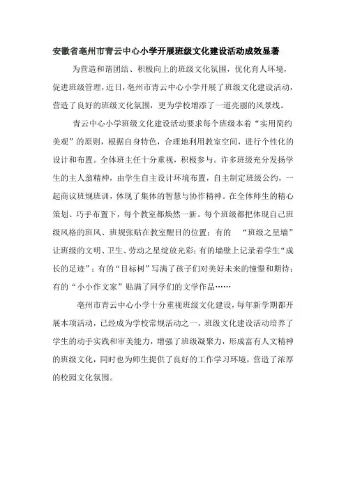 安徽省亳州市青云中心小学开展班级文化建设活动成效显著