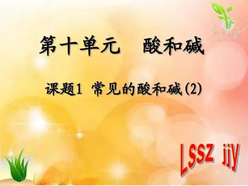 常见的酸和碱 第二课时