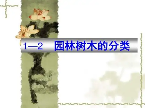 园林树木的分类
