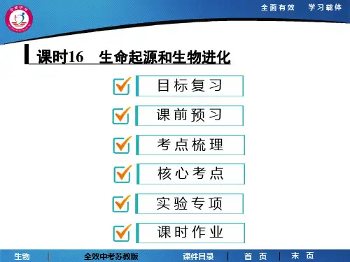 课时16 生命起源和生物进化