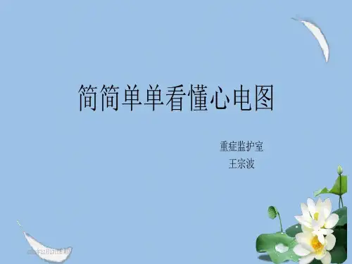 简简单单看懂心电图共24页