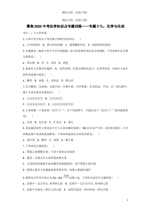 2020中考化学知识点专题训练十九化学与生活 