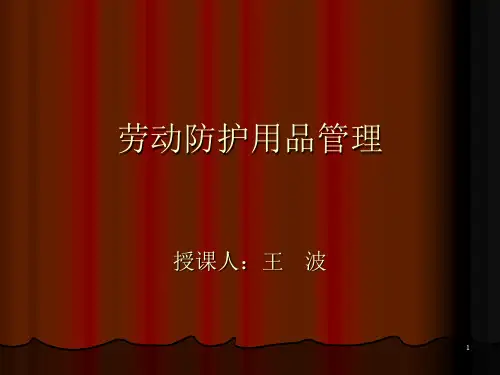 《劳动防护用品管理》PPT幻灯片