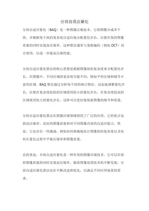 分块自适应量化