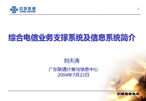 915142004年计费系统与信息系统简介(仅供参考)