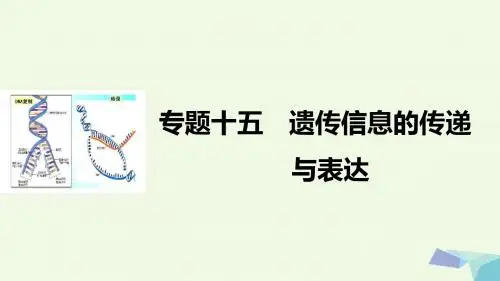 步步高浙江专用2017届高考生物二轮复习专题十五遗传信息的传递与表达课件