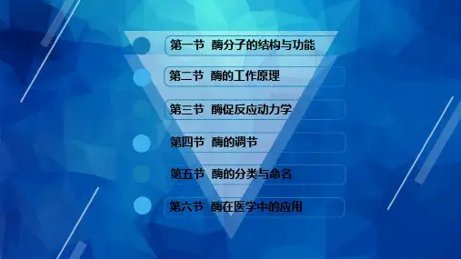 第三章 酶与酶促反应