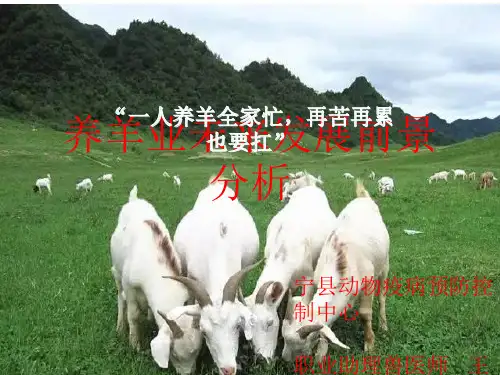 养羊业未来发展前景分析