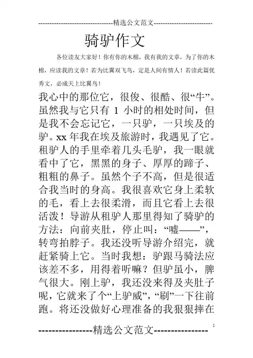 骑驴作文