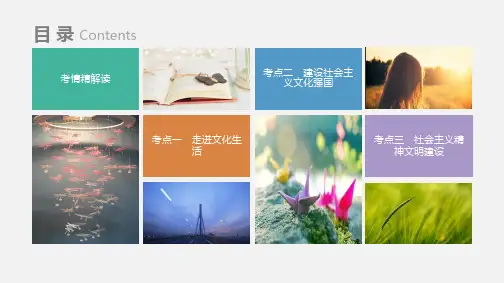 高考政治科目专题12发展中国特色社会主义文化考点讲解