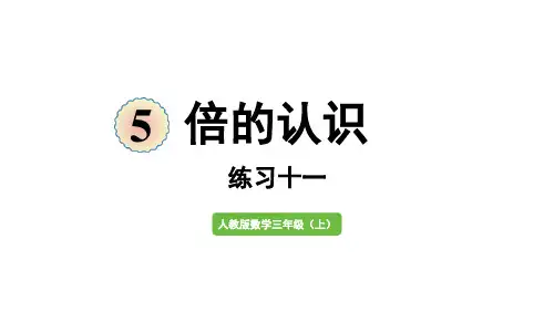 新教材人教版三年级数学上册第五单元 练习十一