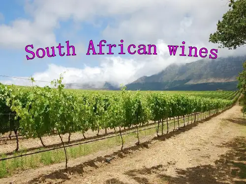 South Africa wines 南非