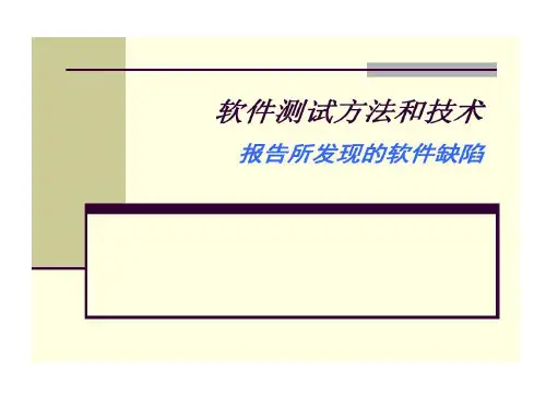 报告所发现软件缺陷共36页文档