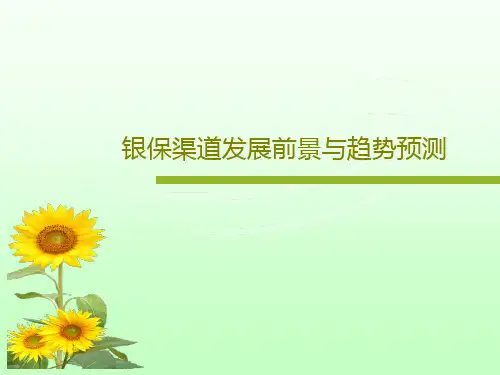 银保渠道发展前景与趋势预测31页PPT
