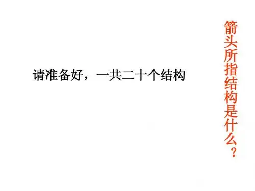 局解实验考试第3套