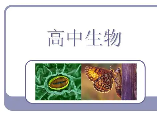 高中生物探索生物大分子的奥秘课件新人教版必修一