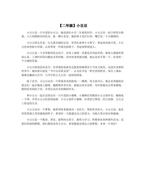 【二年级】小豆豆 2
