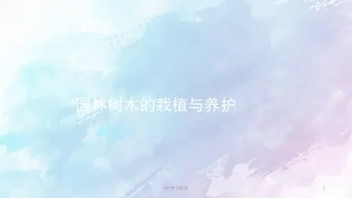 园林树木的栽培与养护课件