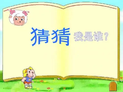 我与小动物