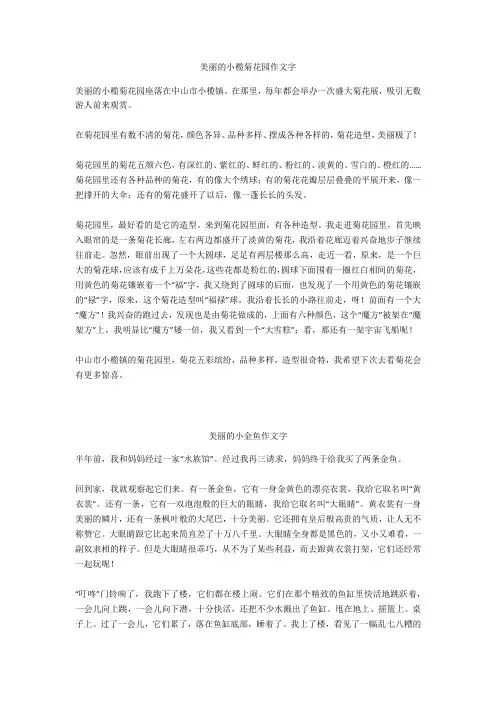 美丽的小花园作文400字