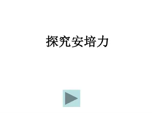 探究安培力方向