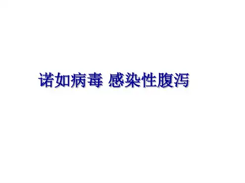 诺如病毒感染性腹泻.ppt