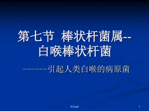 白喉棒状杆菌ppt课件