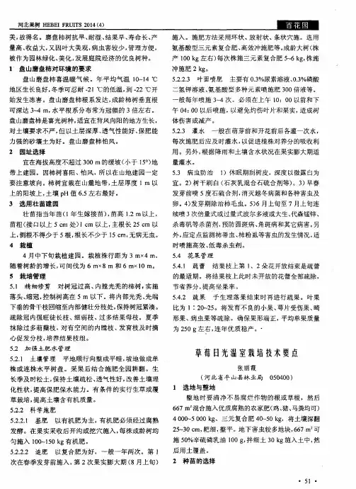 草莓日光温室栽培技术要点