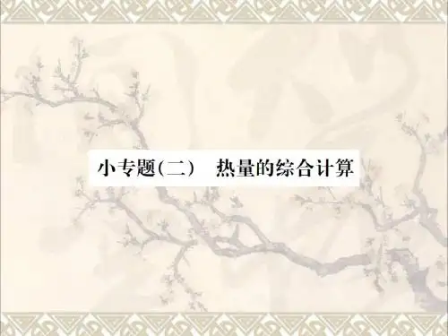 中考物理总复习小专题二热量的综合计算课件